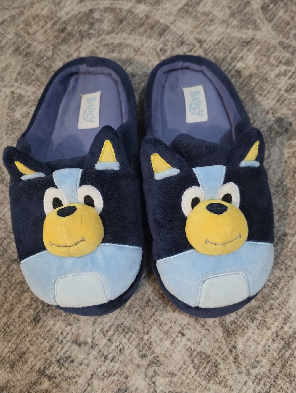 Bluey Slippers